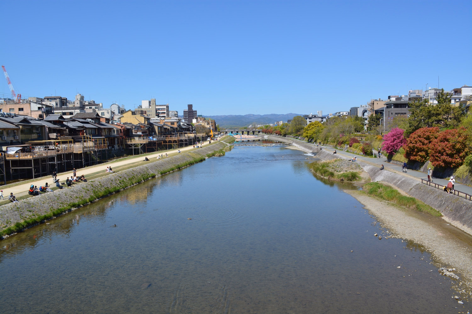 blog